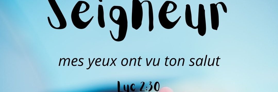 ~FEY l’Elu~'s banner