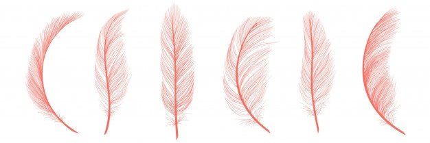 𝐸𝓂𝒷𝑒𝓇𝓇's banner