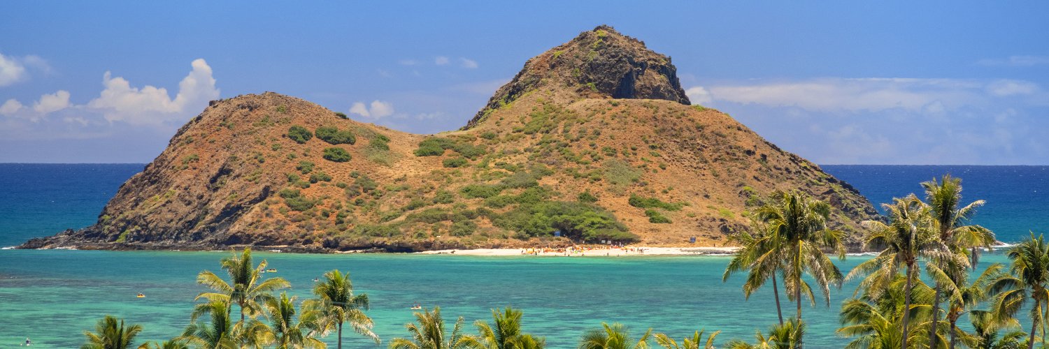 Hawaii's banner