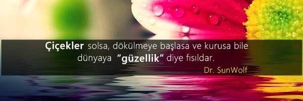 Elif Ekizoğlu's banner