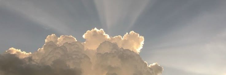 Rod's banner