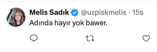 bawer's banner