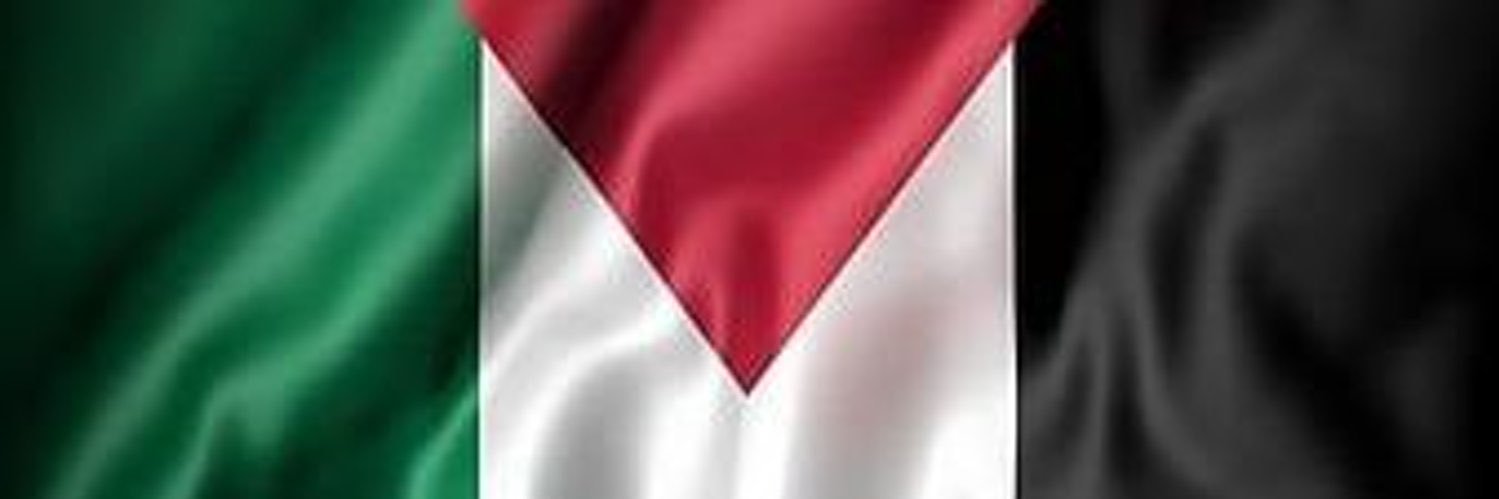 Zingisa Mase🇿🇦🇮🇷's banner