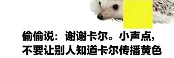 手冲助手's banner