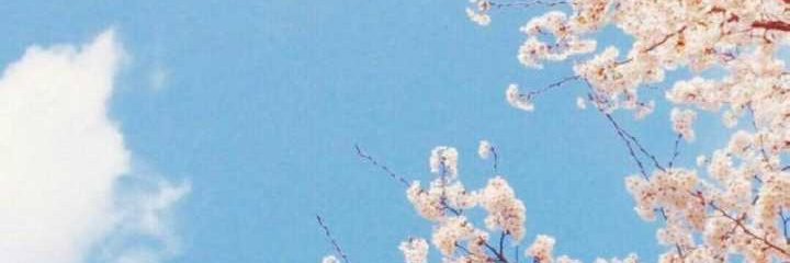珞珞Raku's banner