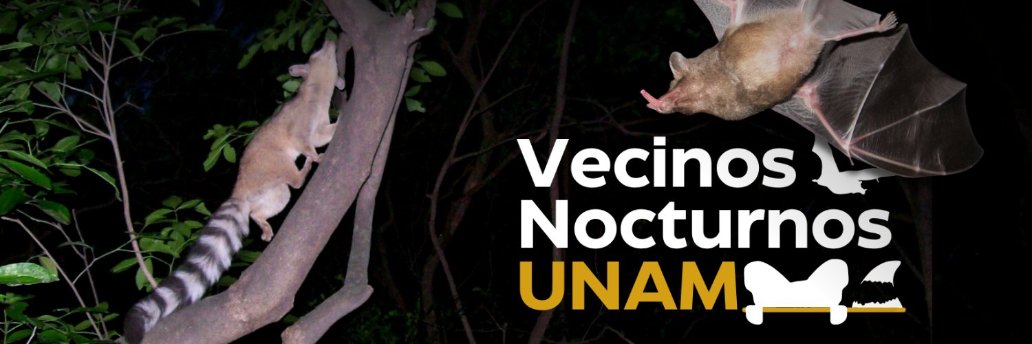 mis_vecinos_nocturnos's banner