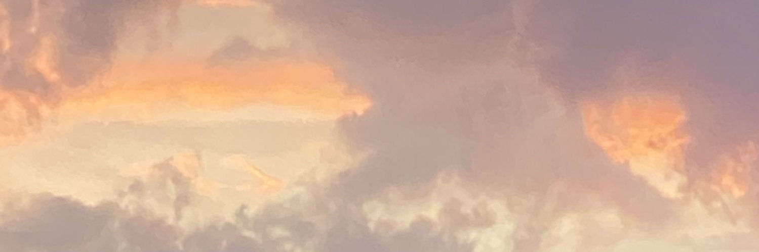 sevdely's banner