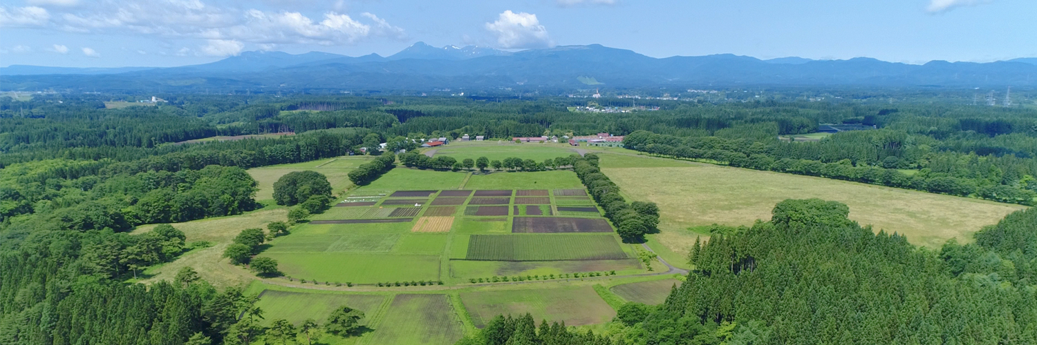東北牧場's banner