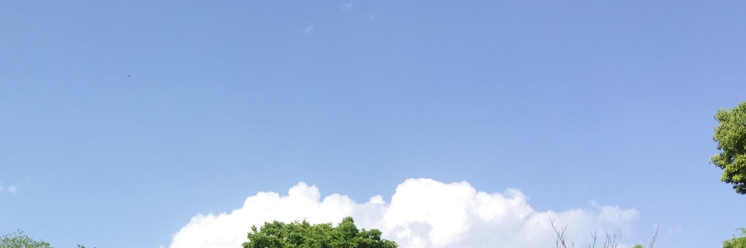 反社会的カルト集団ストーカーに法規制を's banner