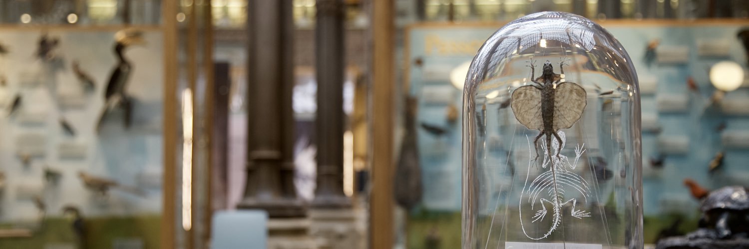 Oxford University Museum of Natural History's banner