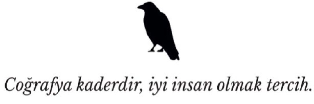 Feride Salgut's banner