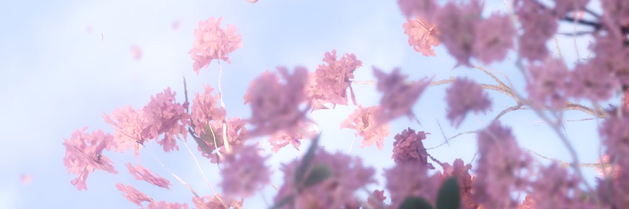 ⋆˙⟡ 🗡️mochi ₍ᐢᐢ₎ ⟡˙⋆'s banner