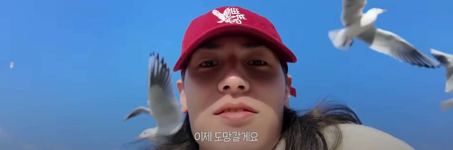 핑's banner