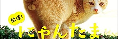 ナミ's banner