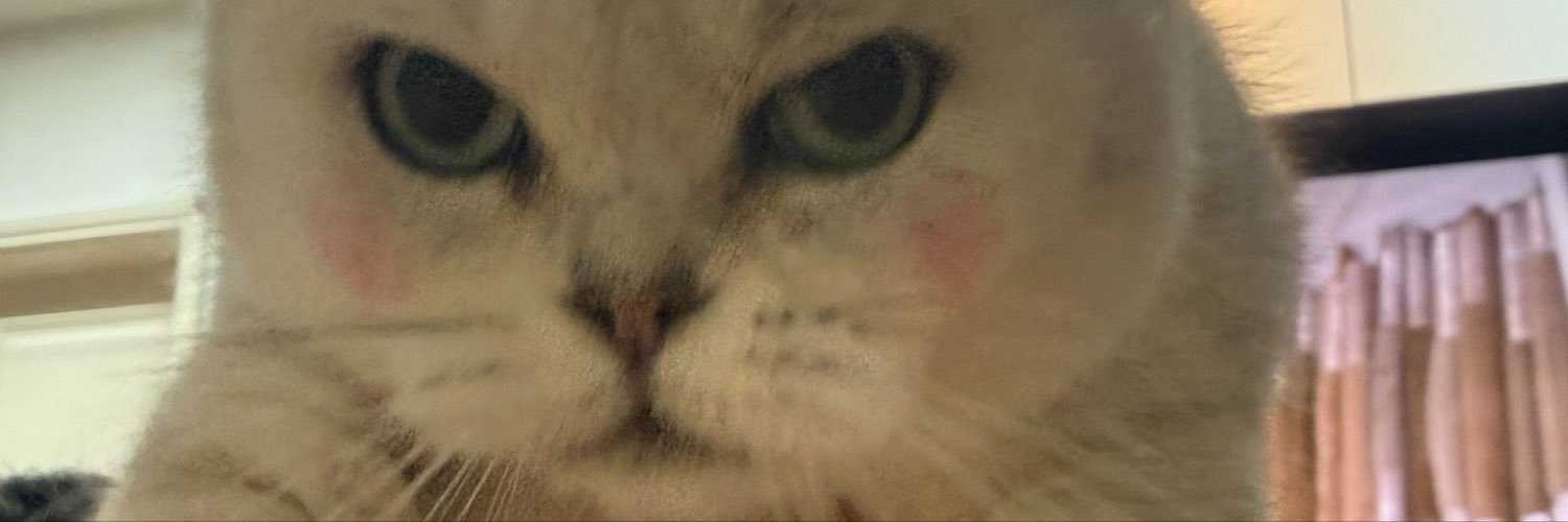 刺猬软趴趴（娃娃版）'s banner