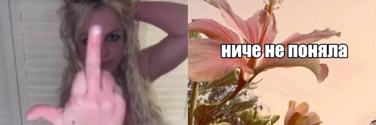 свекла's banner