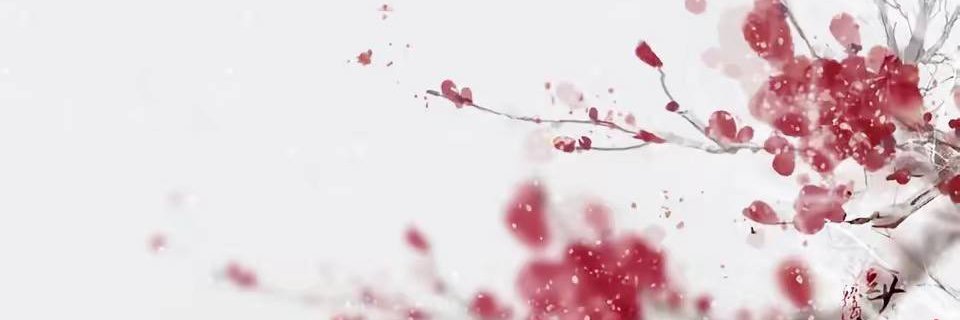 富贵姨姨's banner