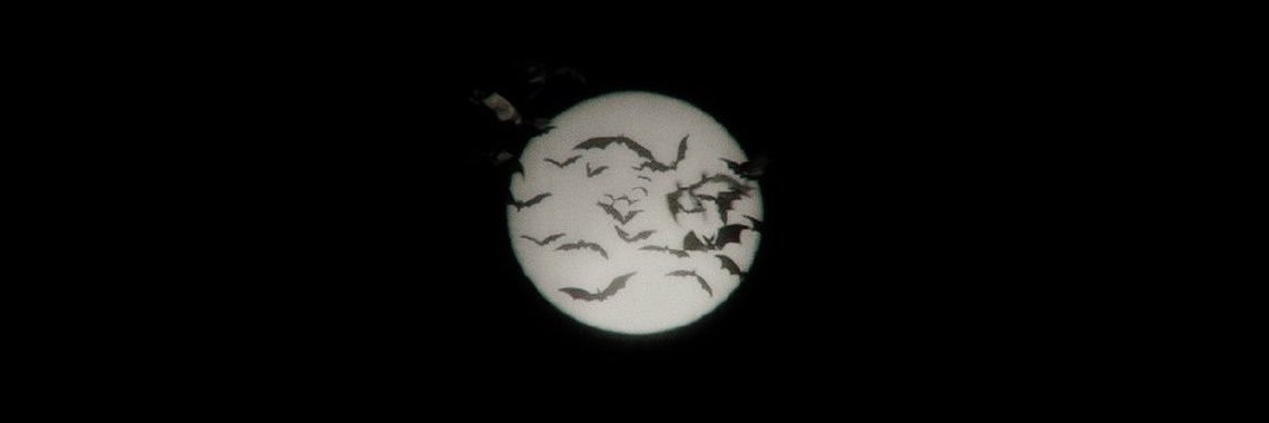 j's banner
