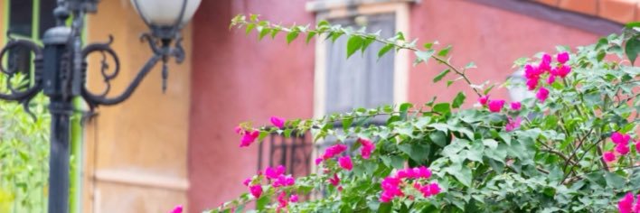 宮島めい🍡's banner