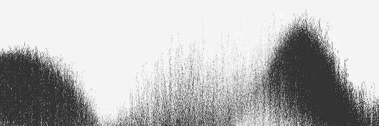 titi ໑̣ ׂ 𓈒's banner
