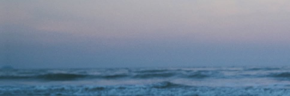 mimi🍒🐶's banner