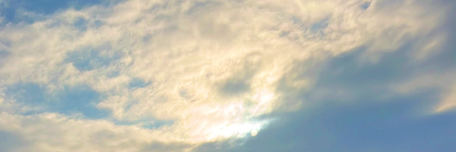 みっちー(Mitchie)'s banner