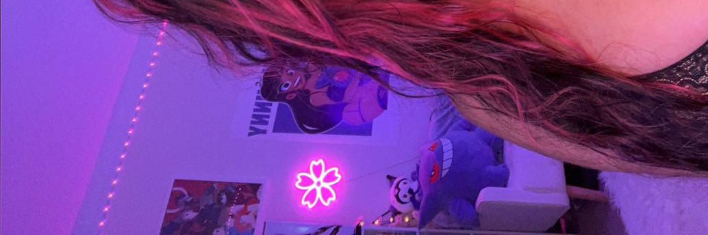 fancy's banner