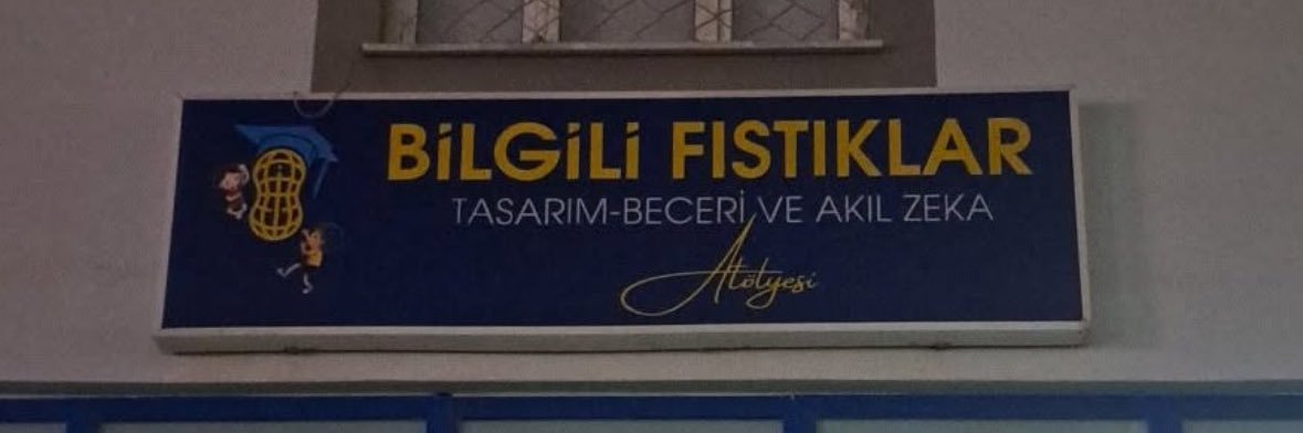 safiyeteyn's banner