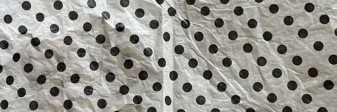 ari's banner