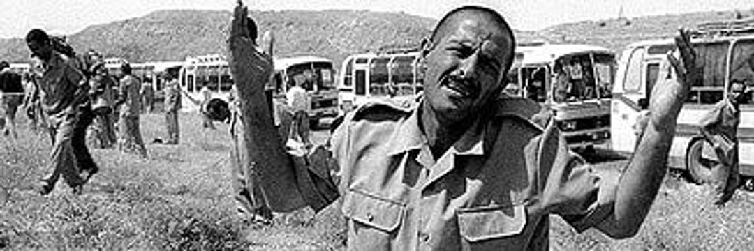 بچه درخونگاه's banner