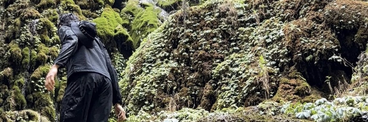 𝚢𝚞𝚖𝚒 🐥's banner