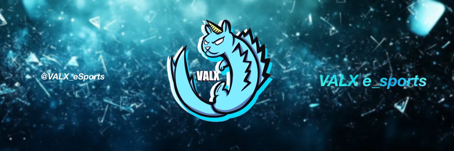 VALX_Zey's banner