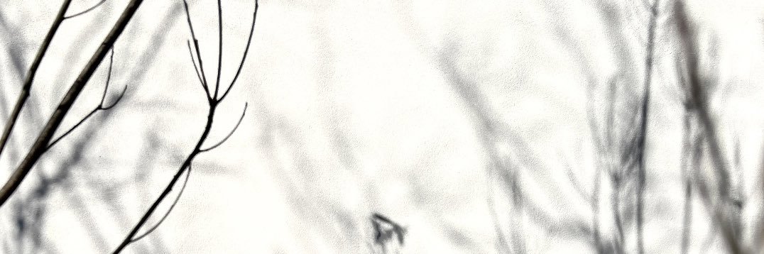 水草文香(Fumika Mizukusa)'s banner