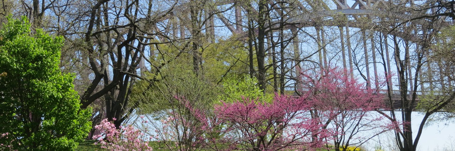 Randalls Island Park's banner