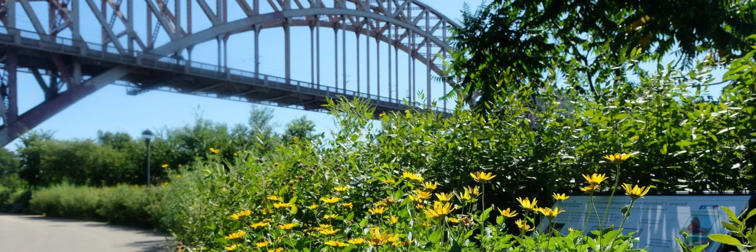 Randalls Island Park's banner