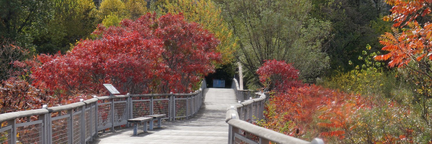 Randalls Island Park's banner