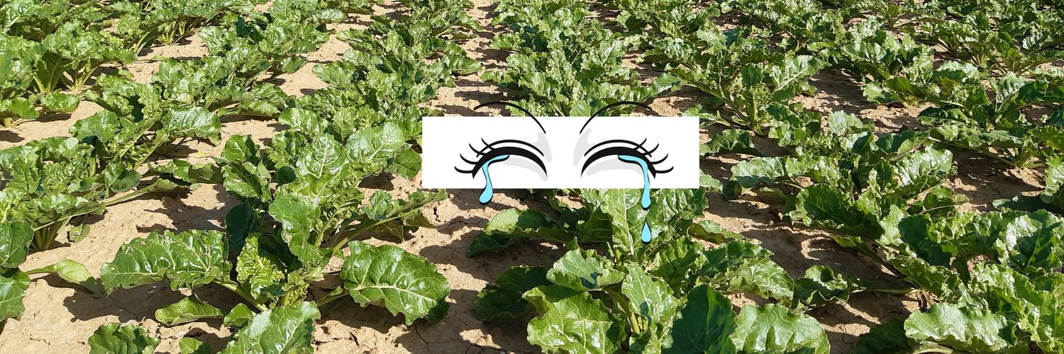 agri's banner