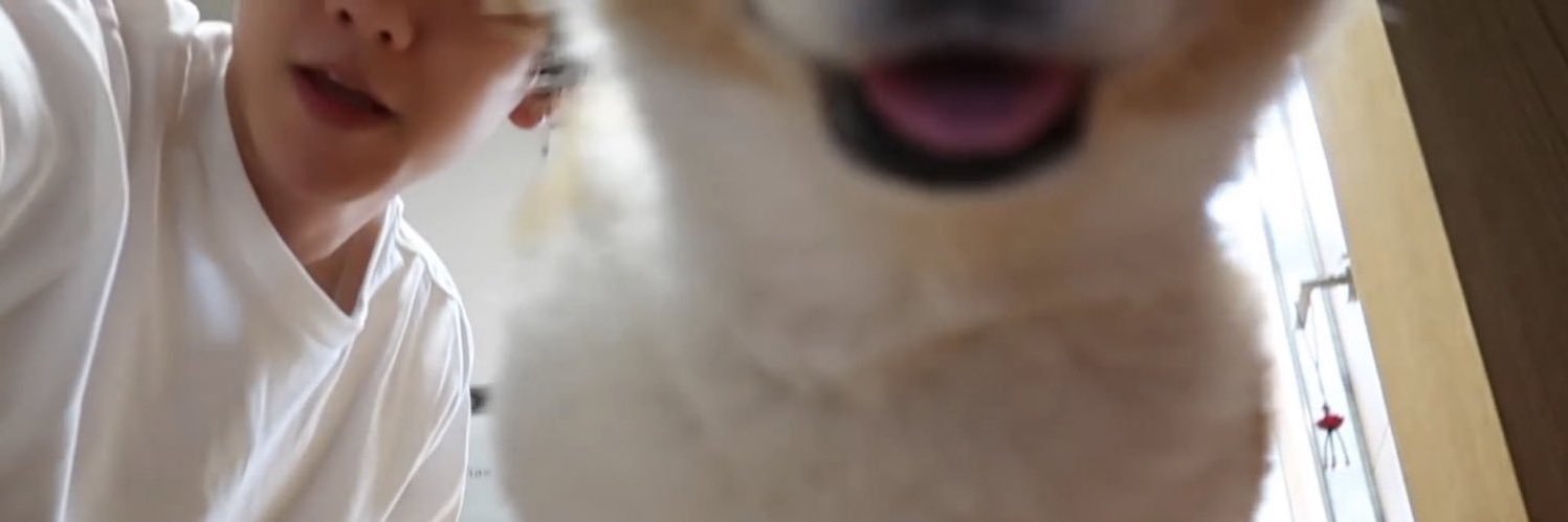 설이...'s banner