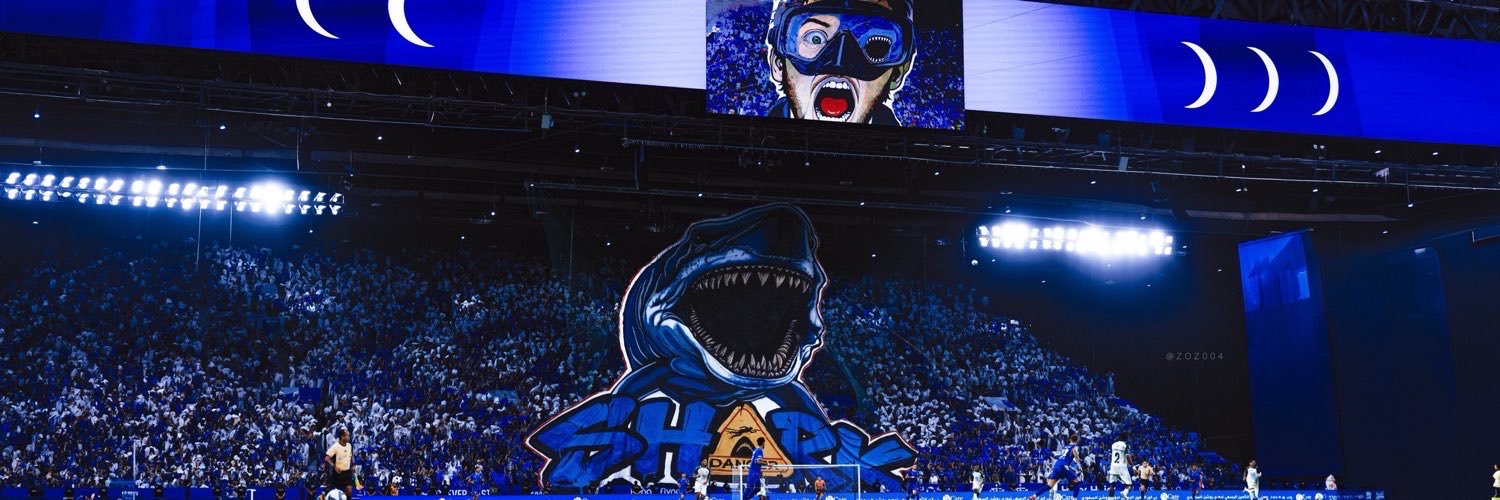 Euro's banner