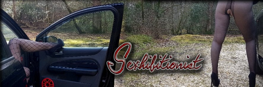 Sexhibitionist's banner