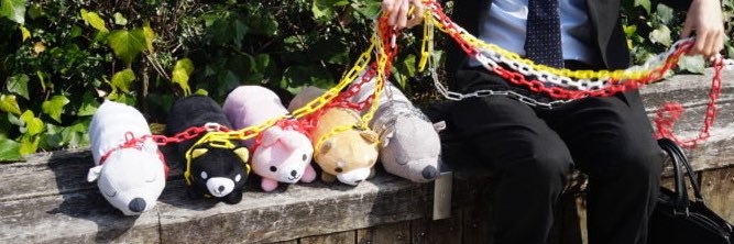 ししゅうガム's banner