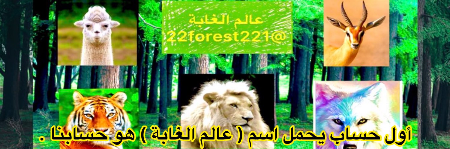 عالم الغابة's banner