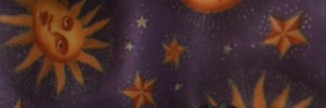𓊆ྀི♱𓊇ྀི's banner