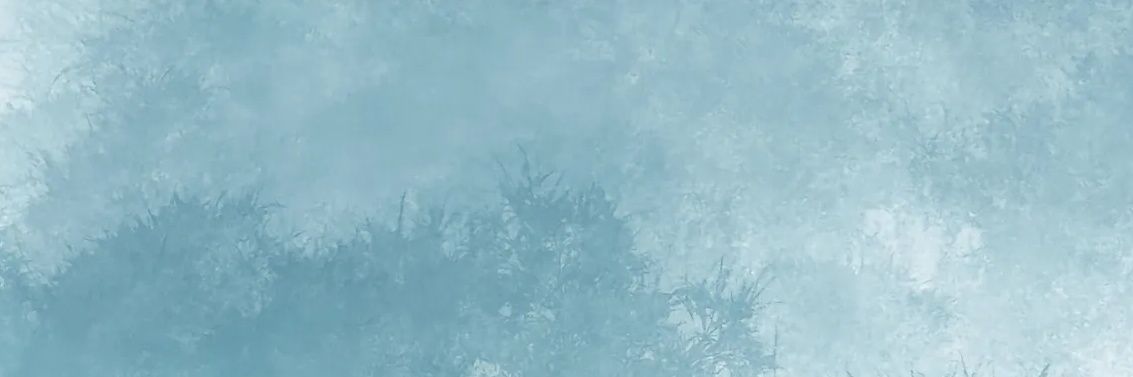 🧊葉🏖️'s banner