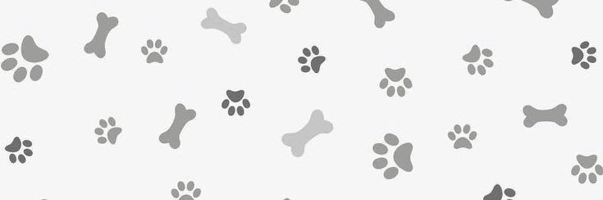 tomato eden 🐾's banner