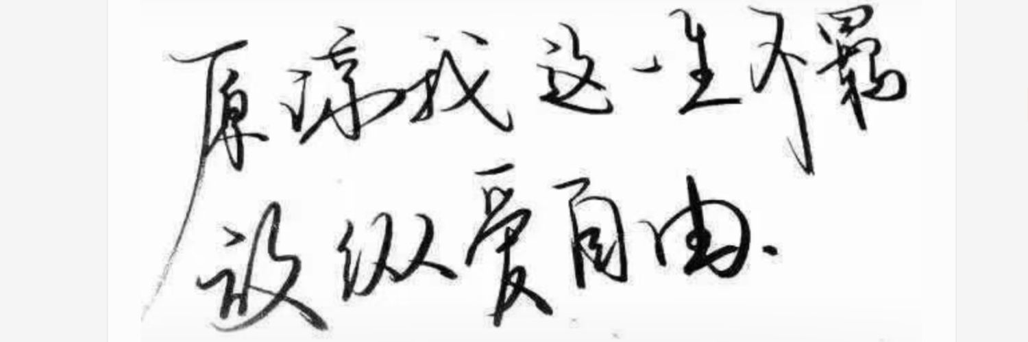 逃亡在亚非拉的卧槽国奴隶's banner
