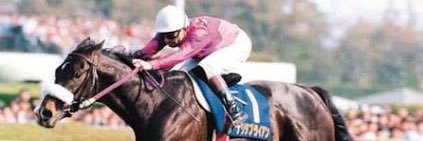 あい🏇@競馬ファン's banner