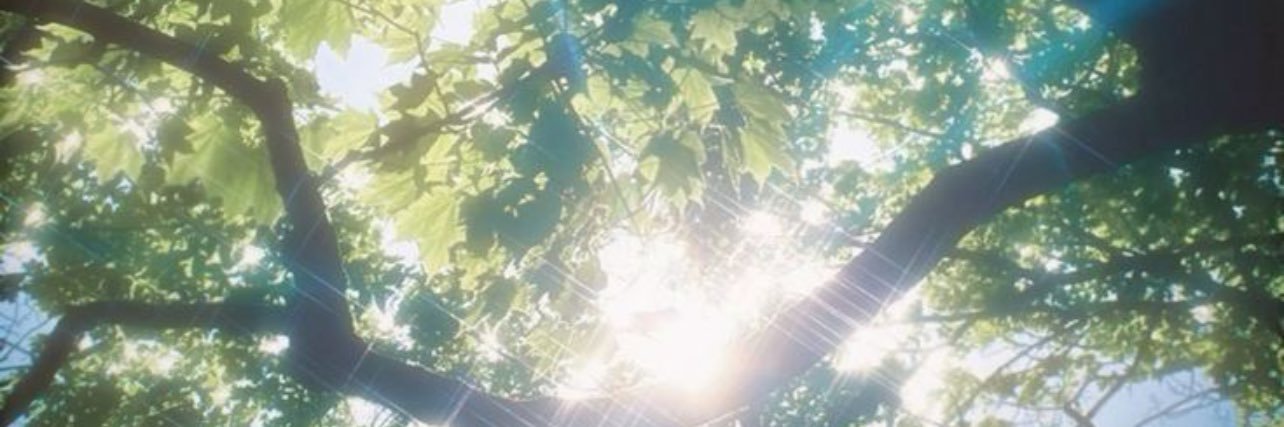 🌟's banner