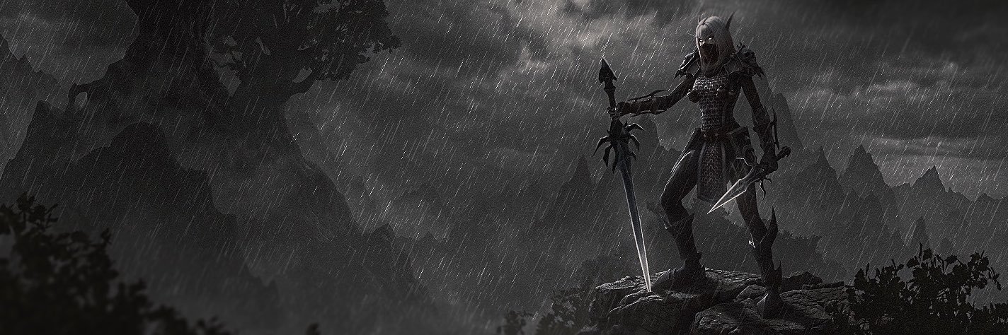 Vyll's banner