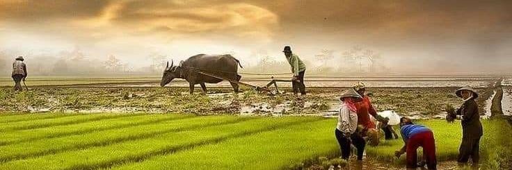 KumaR VermA 🚩🚩🚩's banner